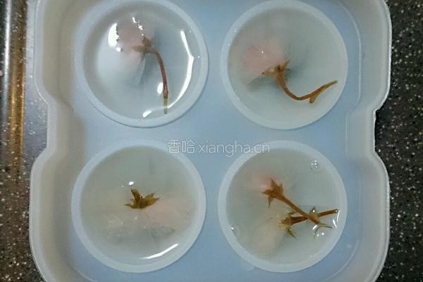 樱花水信玄饼的做法图解5