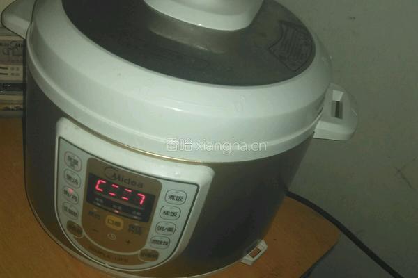 萝卜炖排骨上火锅的做法图解4