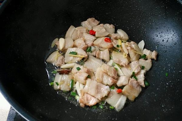 猪肉炖粉条的做法图解5