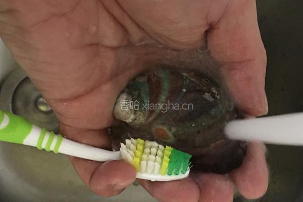 葱油鲍鱼的做法图解1