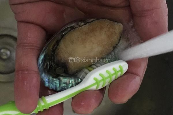 葱油鲍鱼的做法图解2