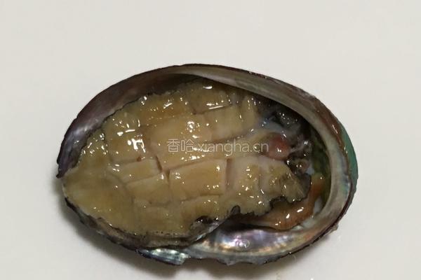 葱油鲍鱼的做法图解4