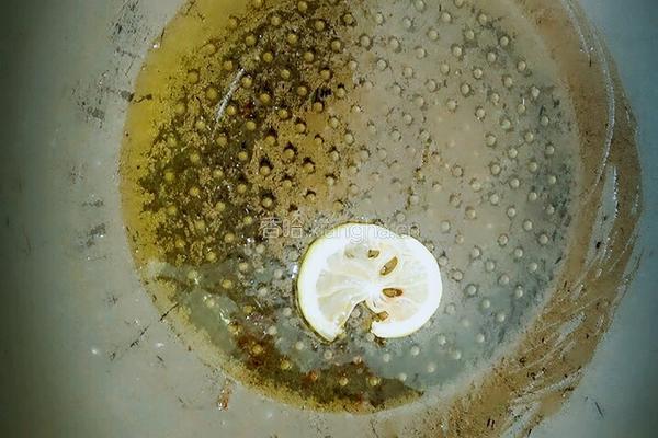 迷迭香煎鸡胸肉的做法图解7