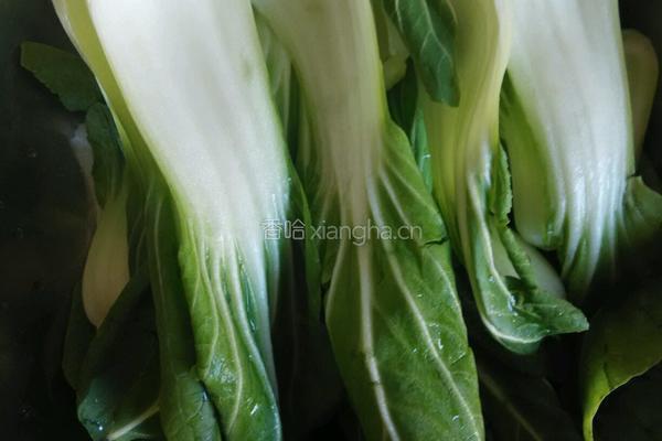 蒜蓉油菜大虾的做法图解3