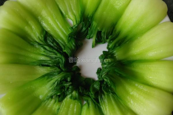 蒜蓉油菜大虾的做法图解8