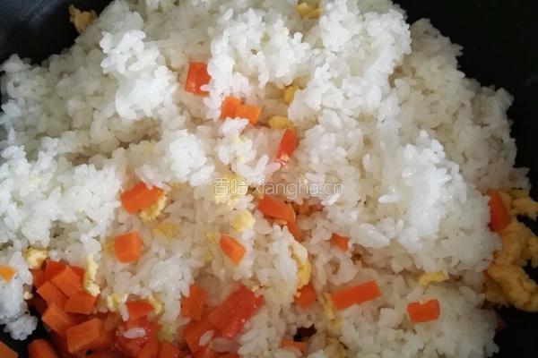 虾仁焗饭的做法图解6