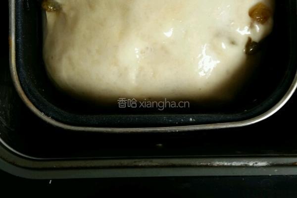 葡萄干吐司的做法图解3