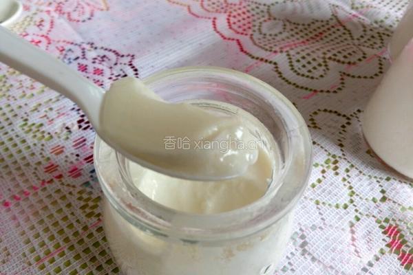 自制酸奶的做法图解9