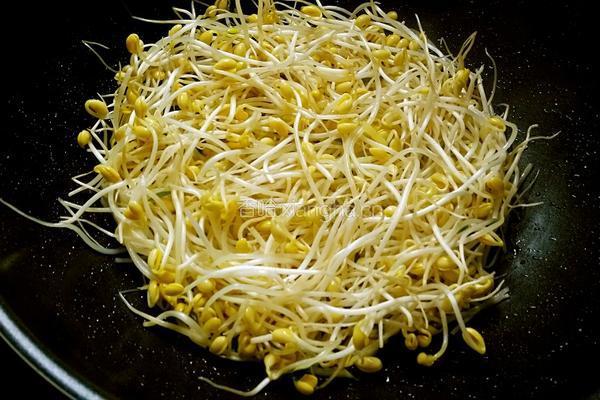 素炒黄豆芽的做法图解4
