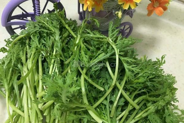 蒜茸茼蒿的做法图解1