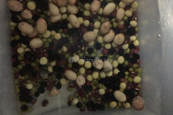 五谷杂粮豆浆的做法图解2