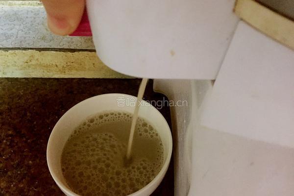 五谷杂粮豆浆的做法图解7
