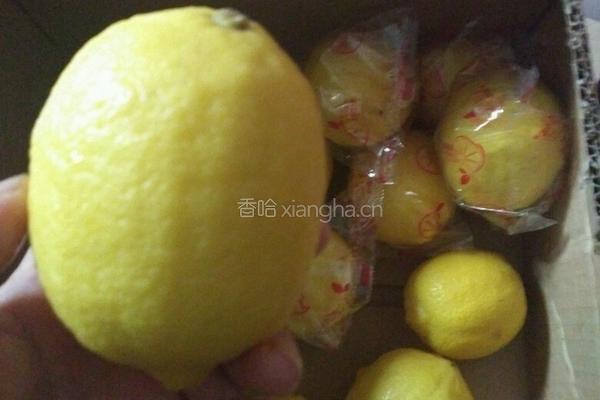 川贝陈皮柠檬膏的做法图解1