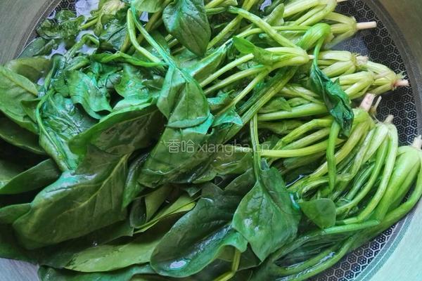 炝拌菠菜的做法图解2