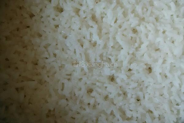 花式卤肉饭的做法图解6