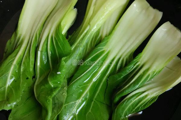 花式卤肉饭的做法图解10