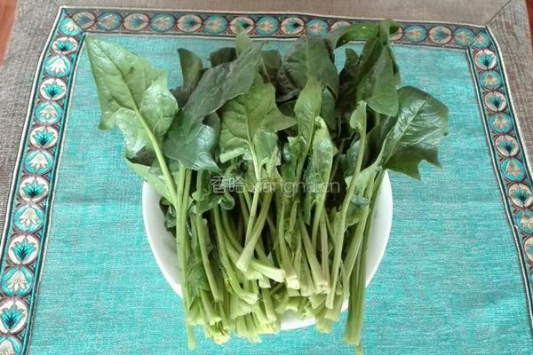 黑豆烩菠菜的做法图解3