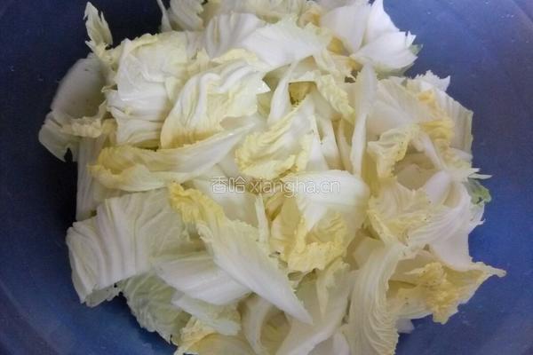 猪肉白菜炖粉条的做法图解2