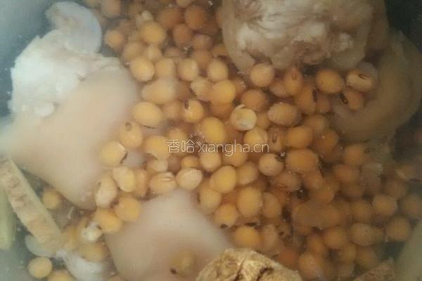 海带黄豆猪蹄汤的做法图解4