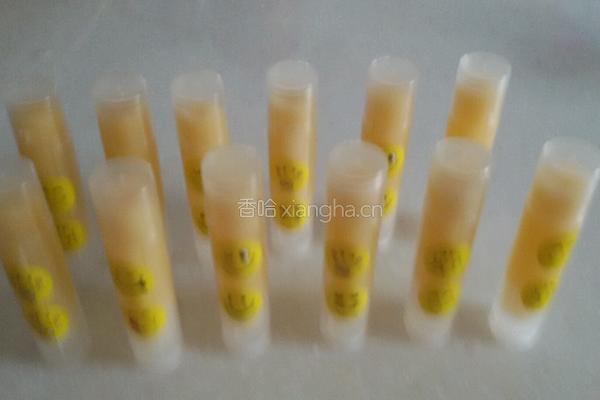 自制纯植物变色唇膏的做法图解5