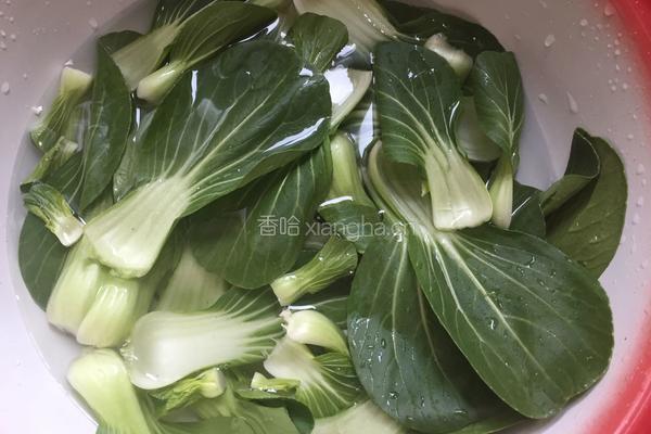 虾皮油菜的做法图解1