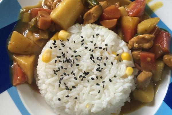 印度咖喱鸡饭的做法图解3