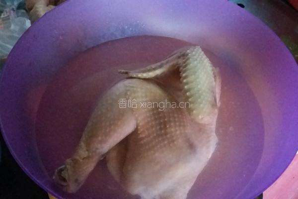 口水鸡的做法图解2