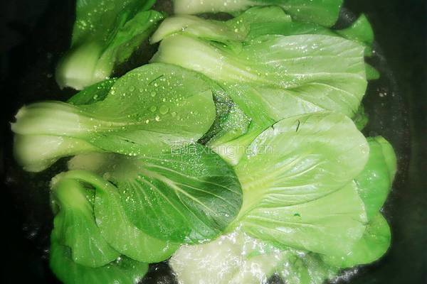 香菇油菜的做法图解5