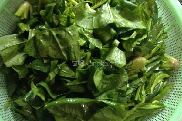 凉拌菠菜的做法图解3