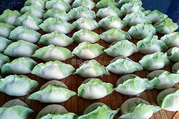 白菜(百财)水饺的做法图解9