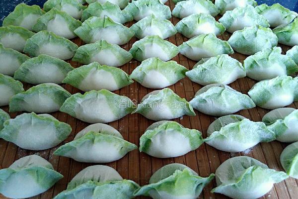 白菜(百财)水饺的做法图解10