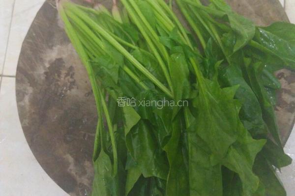 菠菜炒蛋的做法图解3