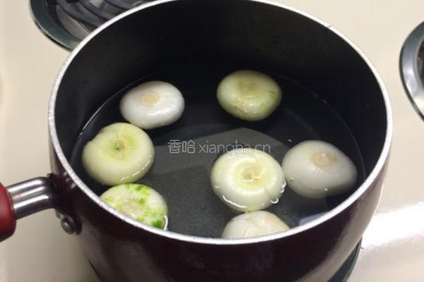 意大利洋葱焖肉的做法图解3