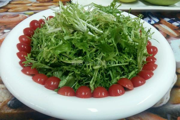 糖醋苦菊的做法图解11