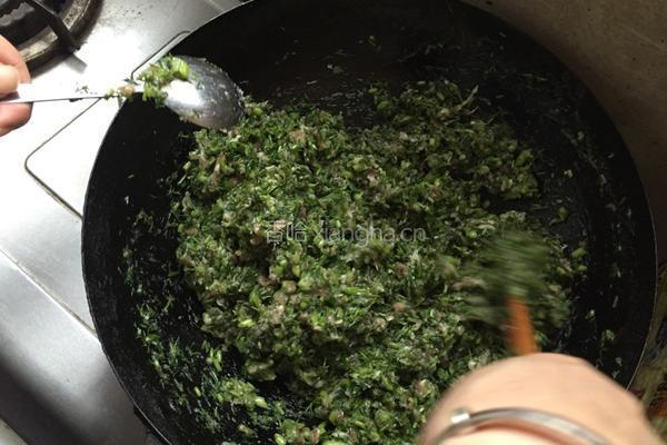 黑山猪茴香水饺的做法图解5