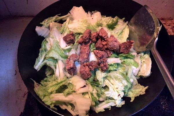 白菜炖酥肉的做法图解5
