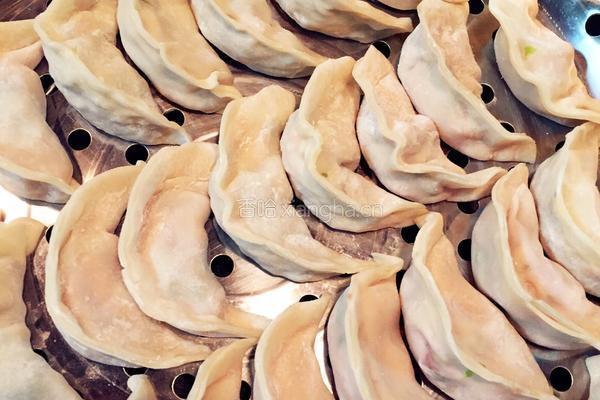 韭菜猪肉饺玉米猪肉饺的做法图解5
