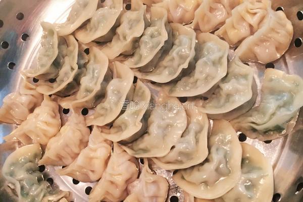 韭菜猪肉饺玉米猪肉饺的做法图解6