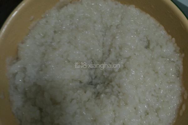 自制醪糟(米酒)的做法图解3