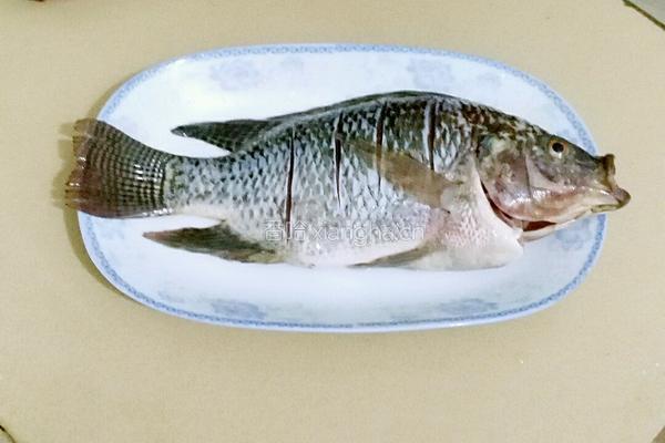 豆豉蒸福寿鱼的做法图解1