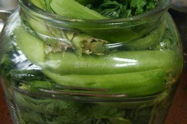 自制酸菜的做法图解4