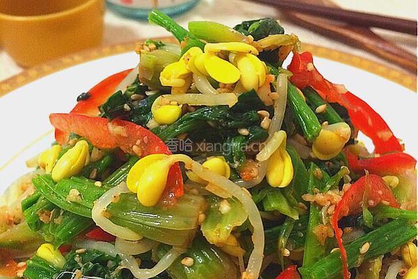 三色拌菜的做法图解11
