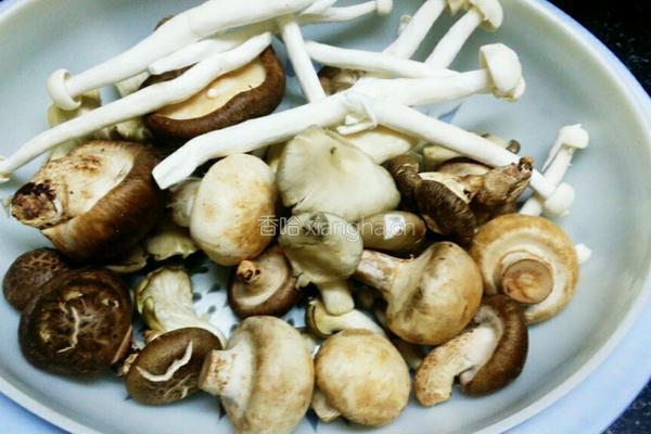 真菌煲的做法图解1