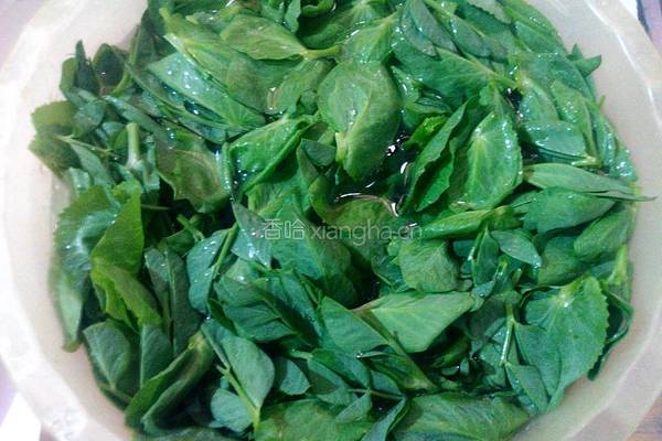 上汤荷兰豆苗的做法图解2