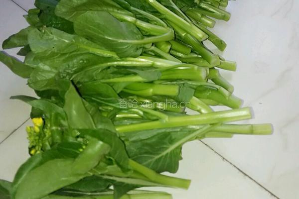 白灼菜心的做法图解1