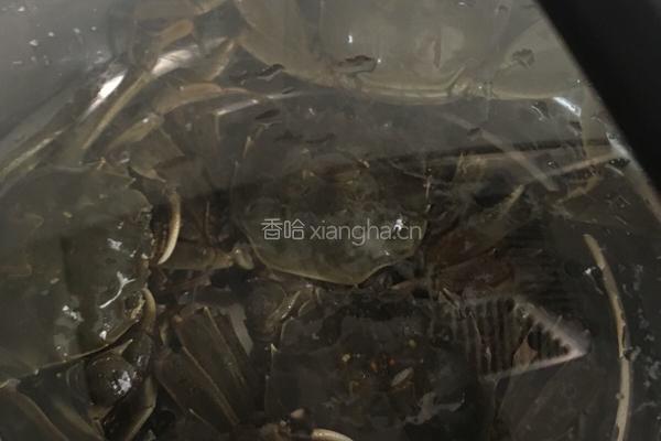 清蒸大河蟹的做法图解6