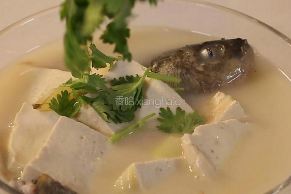 鲫鱼豆腐汤的做法图解8