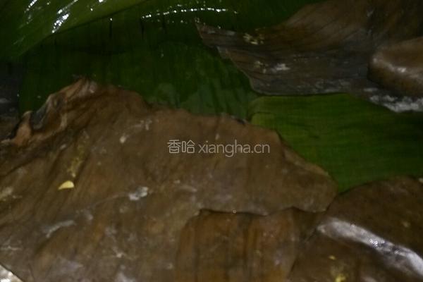 农家黄粑的做法图解8