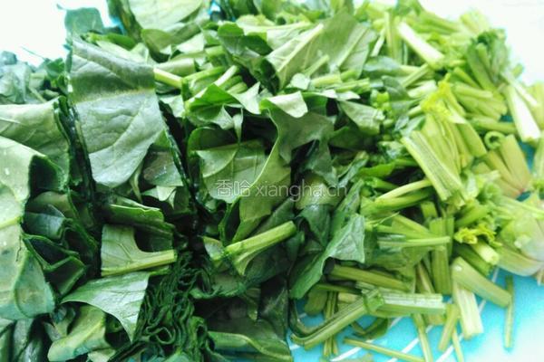 爽口菠菜粉丝的做法图解4