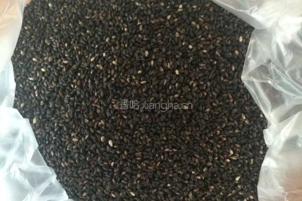 自制阿胶糕的做法图解4